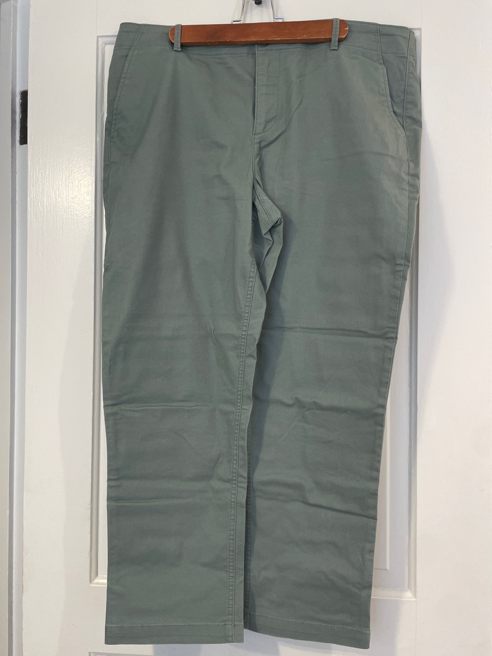 LOFT Straight-Leg Monroe Slim Chino Pants in Sage Green Size 14